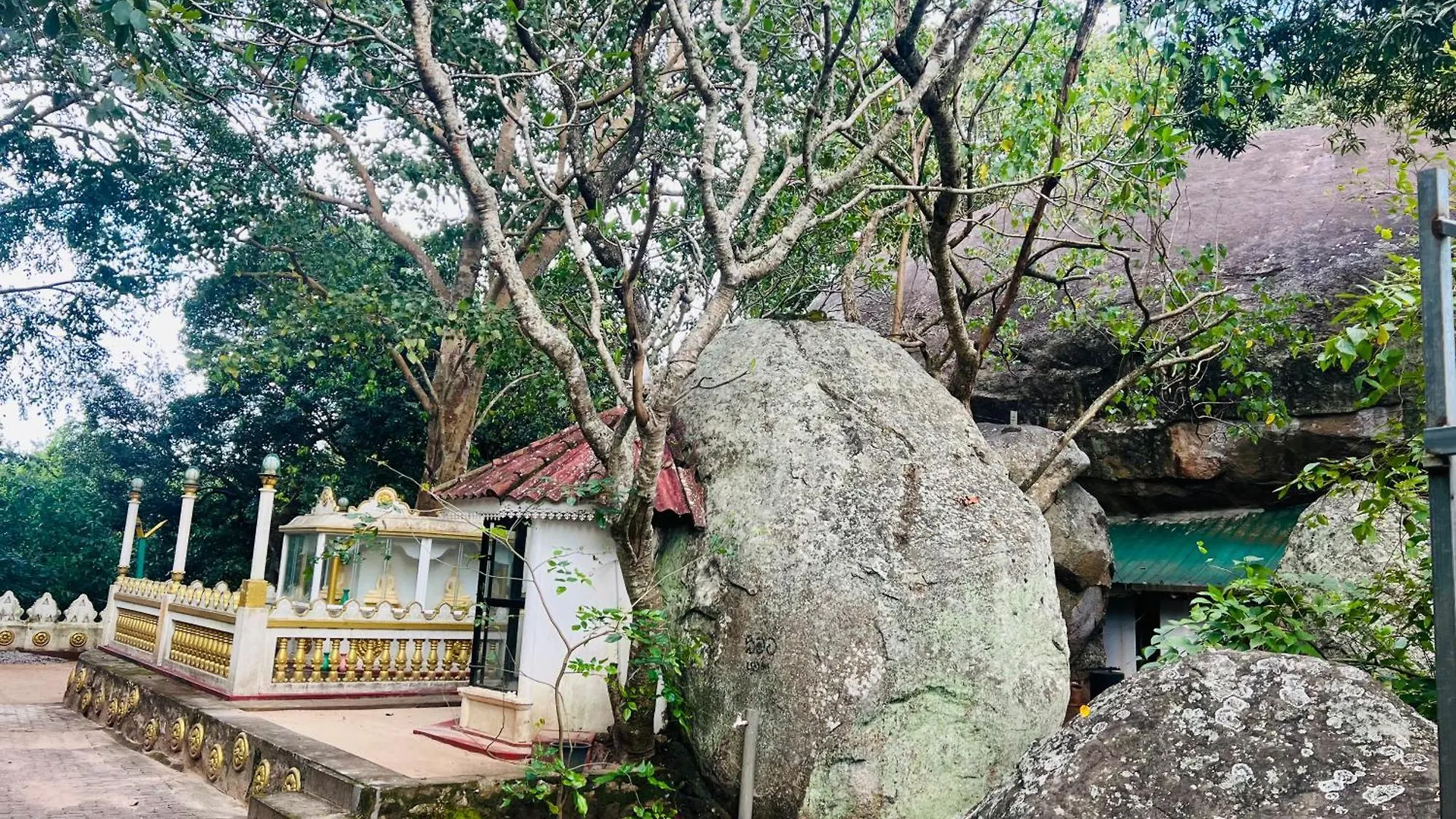 Hotel Wild Blossom Sigiriya